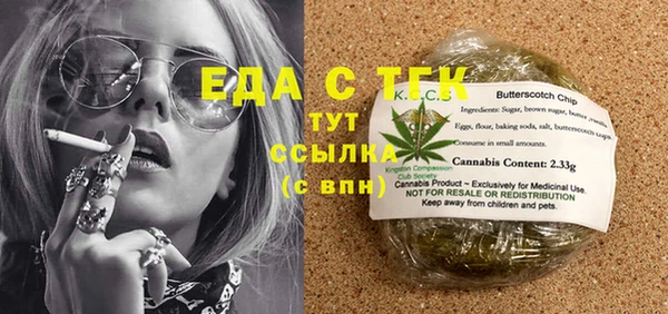 индика Осинники