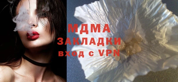 индика Осинники