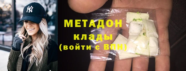 индика Осинники