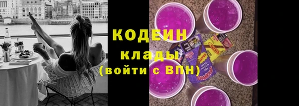 индика Осинники