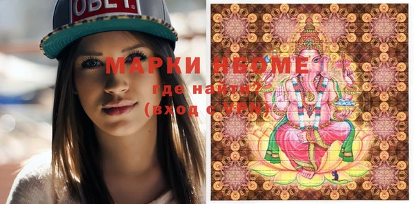 индика Осинники
