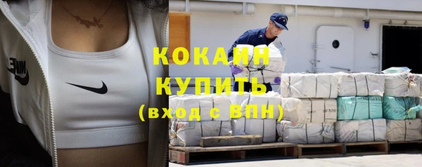 индика Осинники