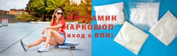 индика Осинники