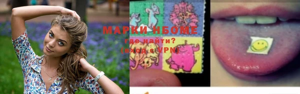 индика Осинники