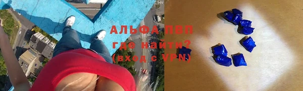 индика Осинники