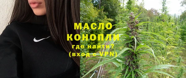 индика Осинники