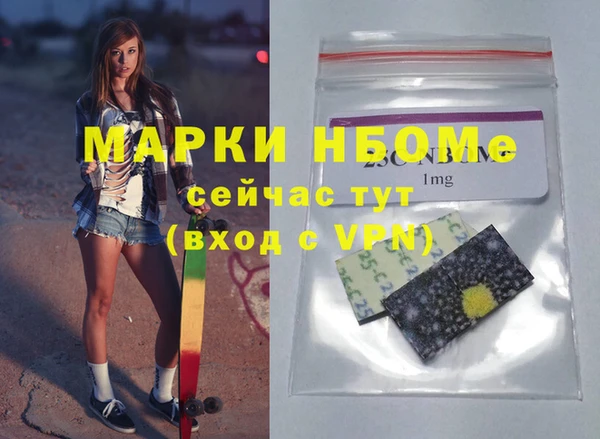 индика Осинники