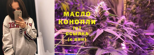 индика Осинники