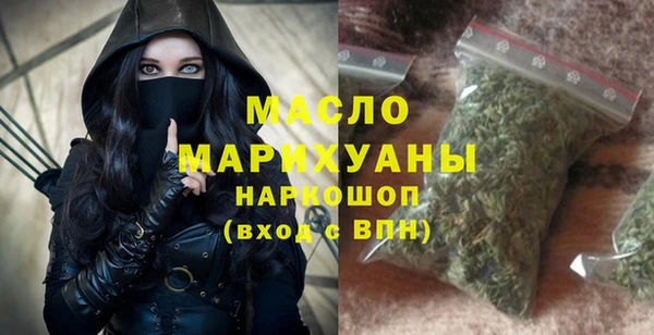 индика Осинники